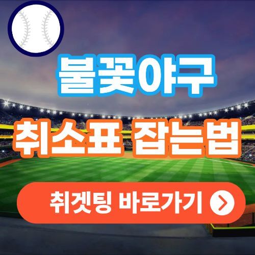 불꽃 야구 취소표 잡기