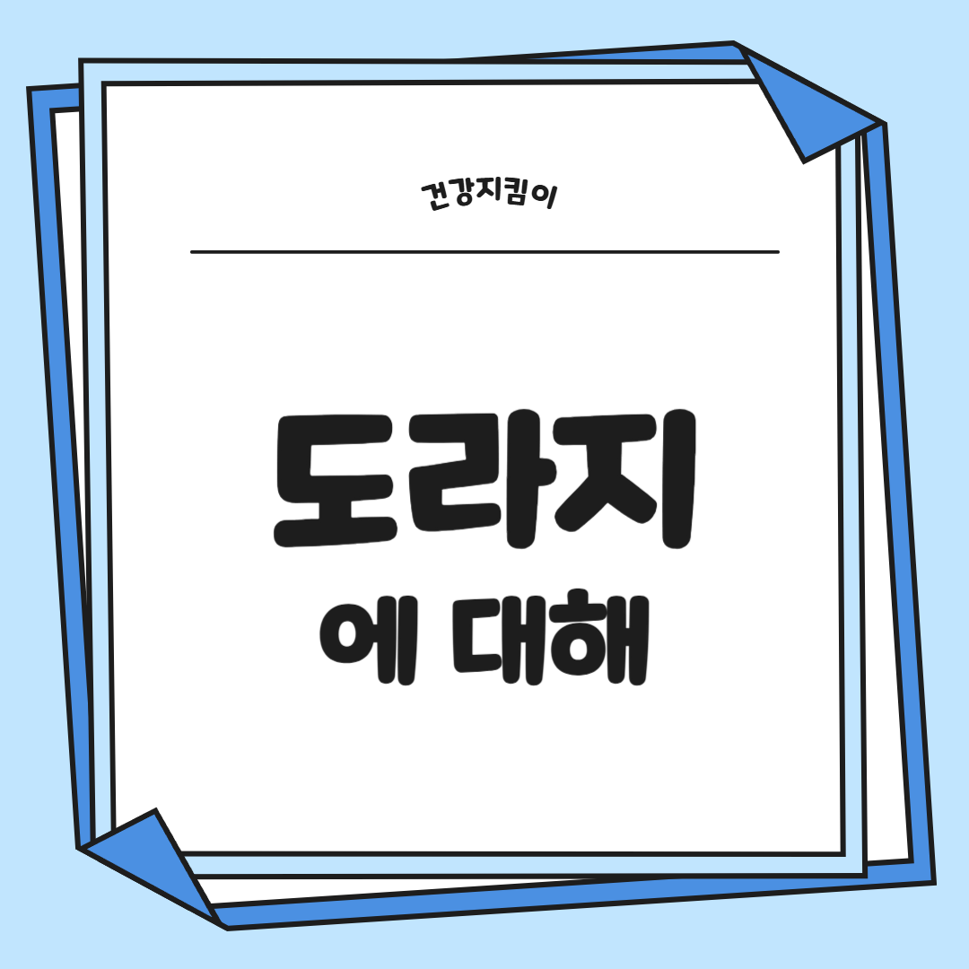 도라지 효능 부작용 고르는법 먹는법 꽃 총정리