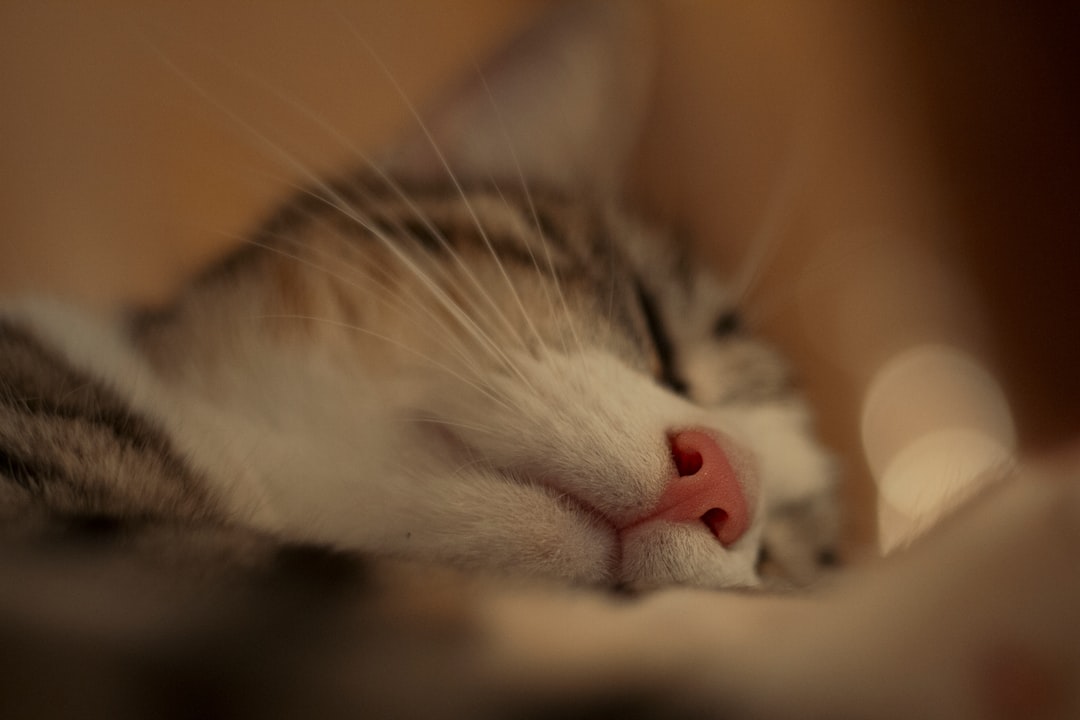 Sleep.