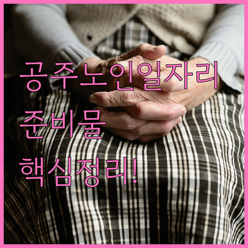 공주시 시니어클럽 노인 일자리 참여 ..