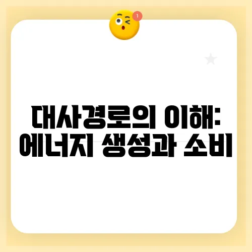 대사경로의 이해: 에너지 생성과 소비