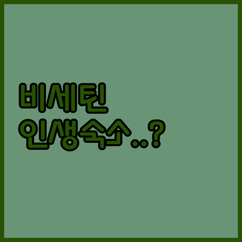 체코의 숨은 보석 비세틴에서 인생 숙..