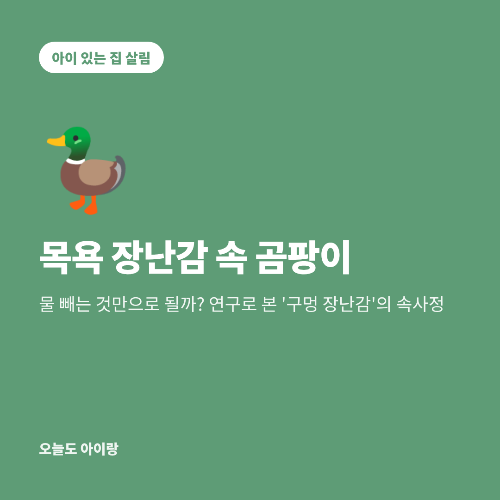 목욕 장난감 속 곰팡이, 물 빼는 것만으로 될까? 연구로 본 '구멍 장난감'의 속사정