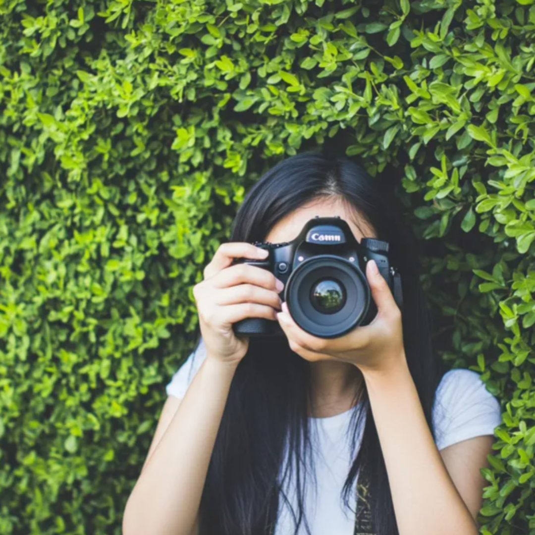 일본 사진 명소 관련 사진