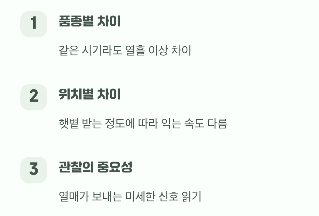 자연이 알려주는 최적의 순간