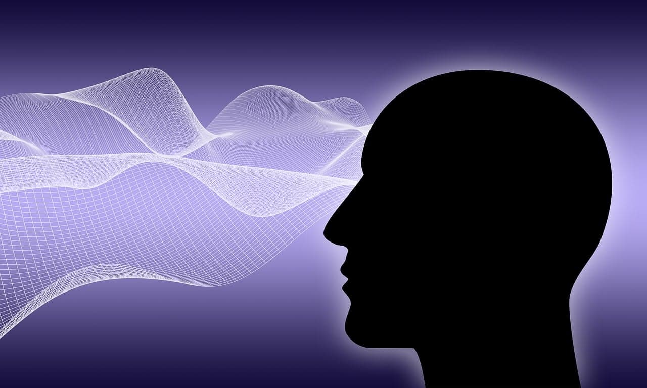 IQ보다 중요한 뇌 능력, 작업기억이란 무엇인가?