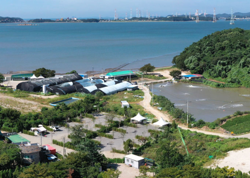 대부도 푸른섬 캠핑장