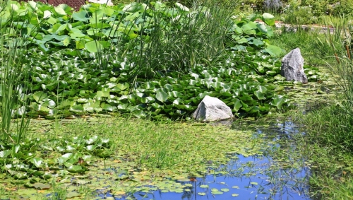 바다향기수목원