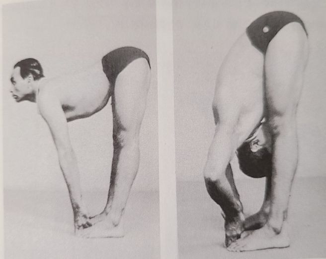 아쉬탕가요가 스탠딩