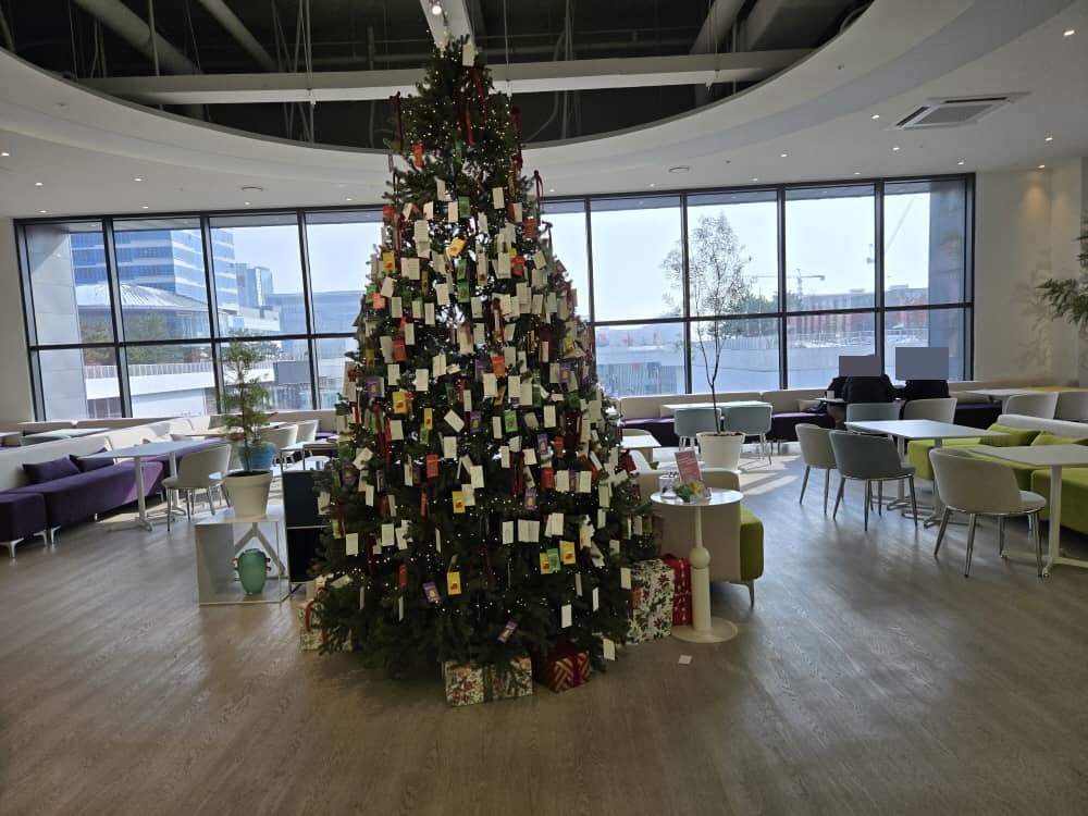 송도 웁스어데이지