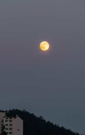 보름달
