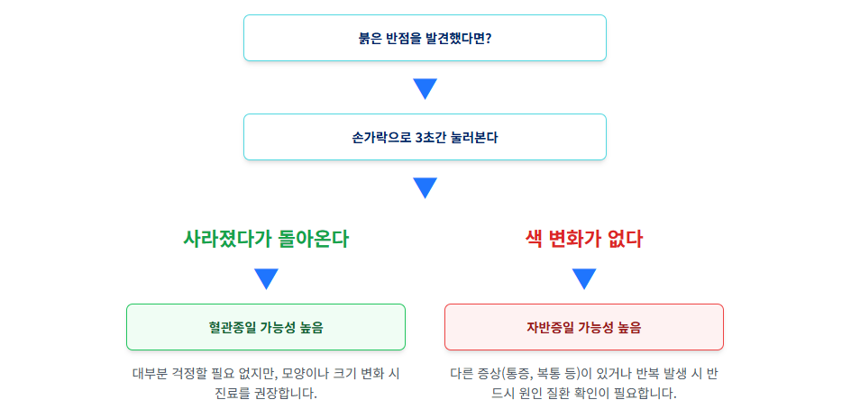 피부에 생긴 붉은 반점, 노화의 흔적? 위험 신호? 혈관종 vs 자반증, 헷갈리면 안 되는 이유