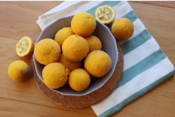 탱자 효능 및 영양성분