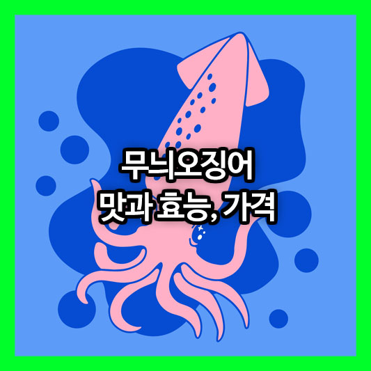 오징어의 제왕, 무늬오징어! 당신이 몰랐던 놀라운 맛과 효능, 가격