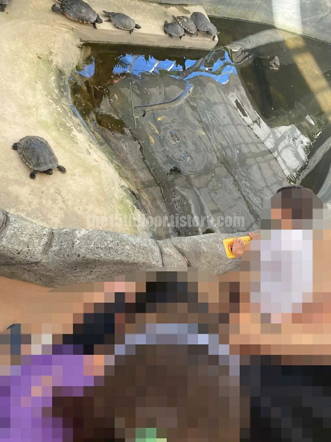 경남 의령 &amp;#39;의령 곤충생태학습관&amp;#39; (1층 &amp;#39;사막관&amp;#39;&amp;#44; &amp;#39;열대관&amp;#39;)