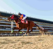 2025년 하반기 한국마사회 채용