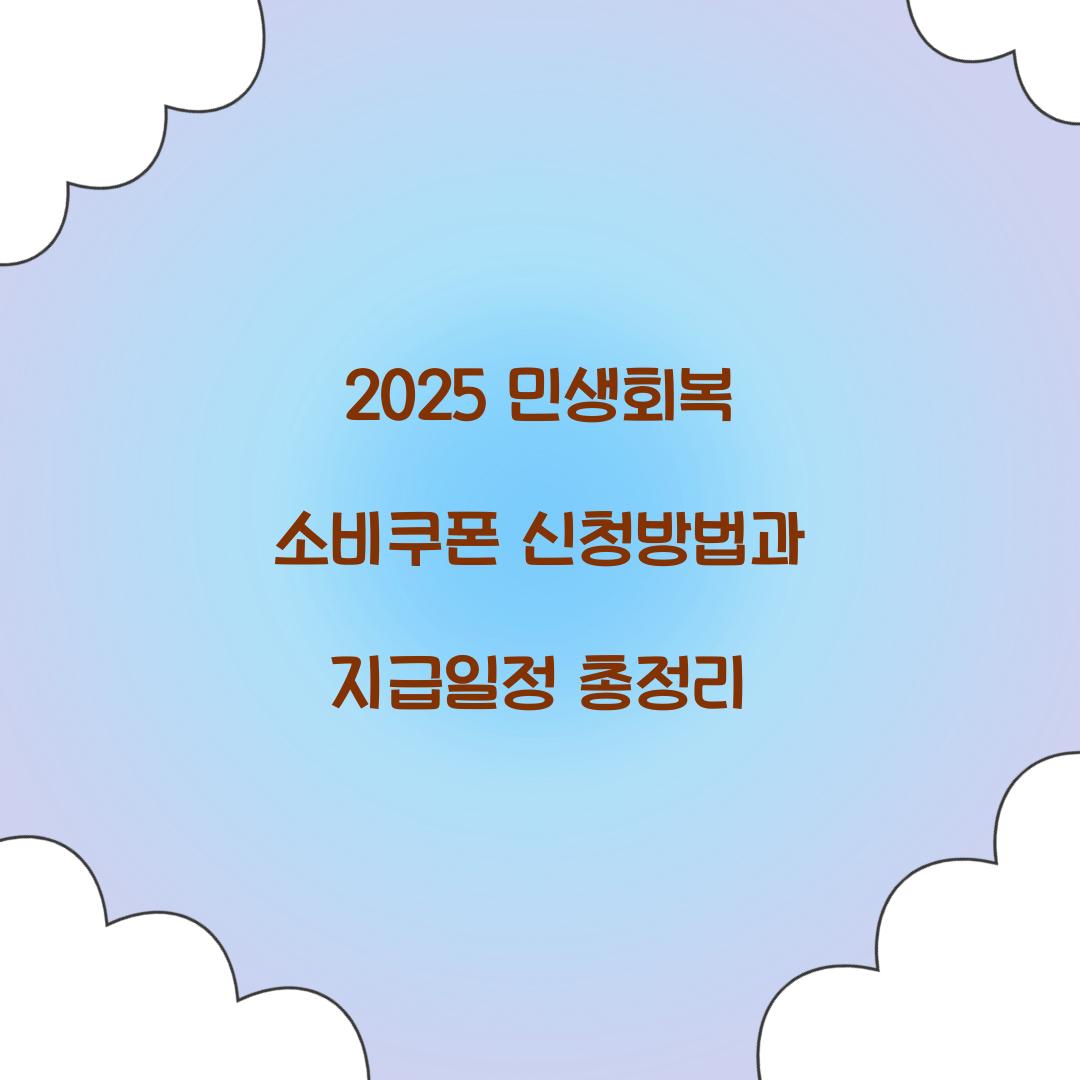 2025 민생회복 소비쿠폰 신청방법
