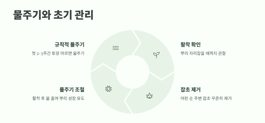 고구마 심는 시기 알아보기 10