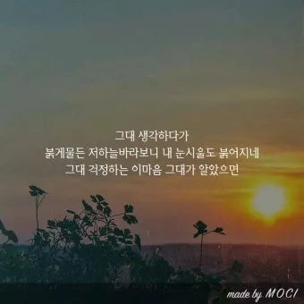 오늘 아침 인사 이미지 아침 인사로 좋은 글 모음집_18