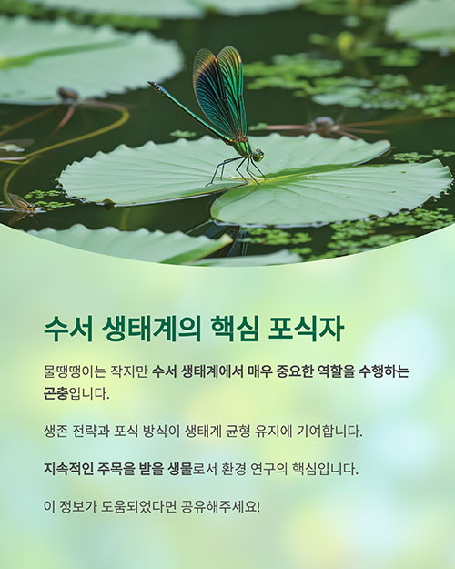 수서 생태계에서의 핵심 포식자