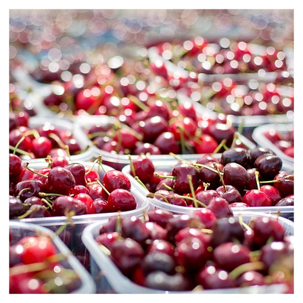 민생회복지원금3