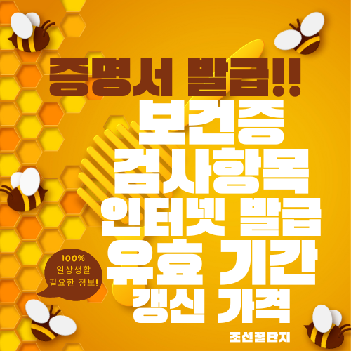 보건소 보건증 인터넷 발급 방법 검사항목 유효기간 출력 재발급 갱신 가격