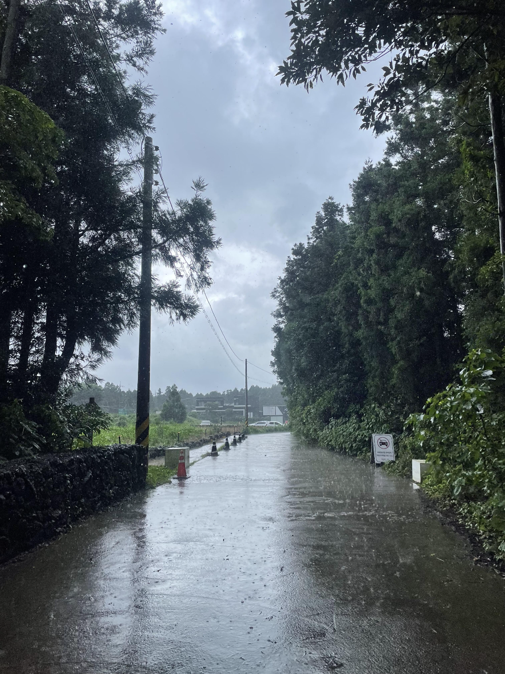 제주-동쪽-구좌-가볼만한곳｜카페-소품샵-포토존이-있는-송당무끈모루