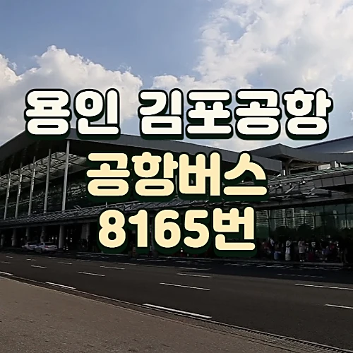 용인-김포공항버스-시간표-요금-알아보기-A8165번