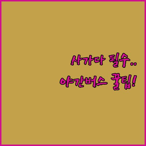 필리핀 사가다 자유여행 준비물 야간버..