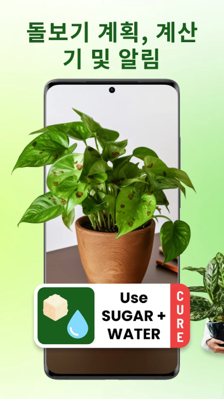 꽃이름 찾기 어풀,꽃 도감, 꽃 식별