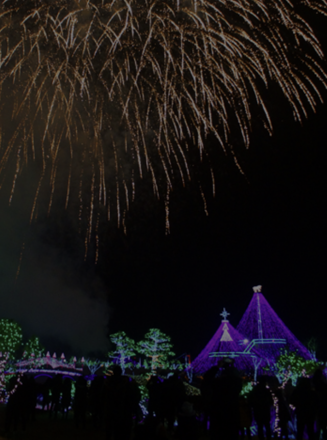 2023 겨울 불빛 축제(서울, 인천, 충남, 강원)