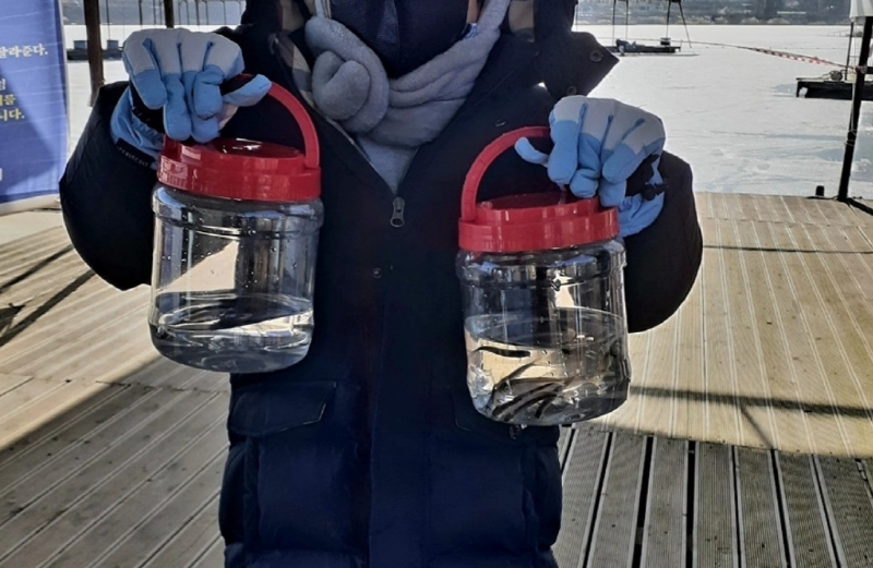 강화 양오낚시터 빙어축제