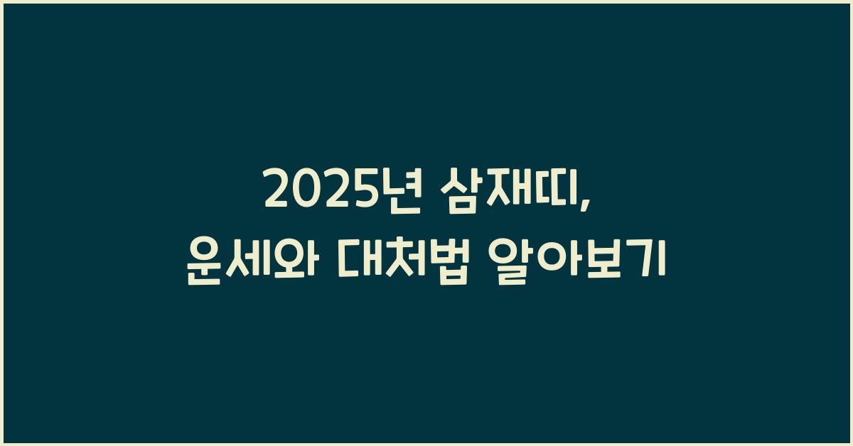 2025년 삼재띠