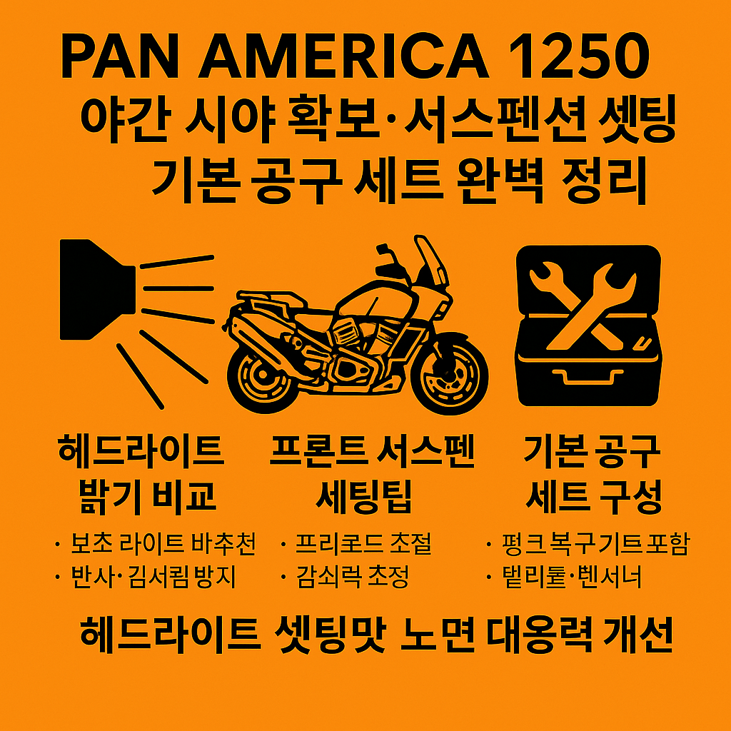 Pan America 1250 야간