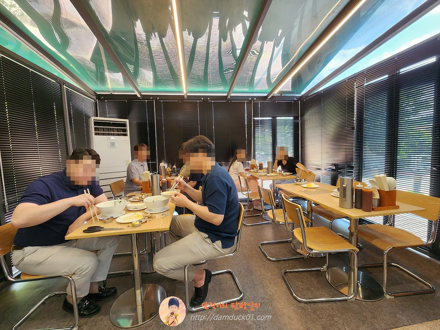 포레스트 오늘, 숲