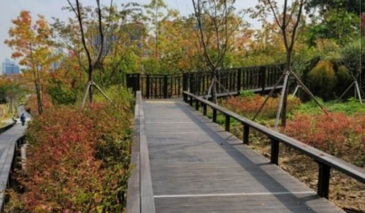 당일치기-단풍여행