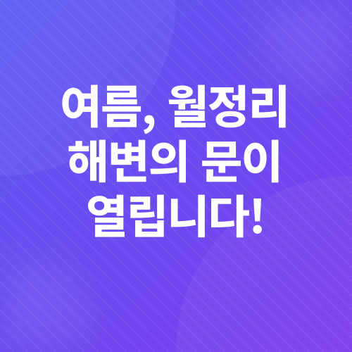 제주 월정리 해수욕장 정보_1