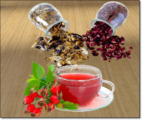 장미와 로즈힙차