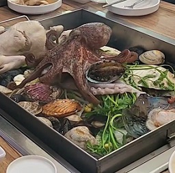 철판해물전골