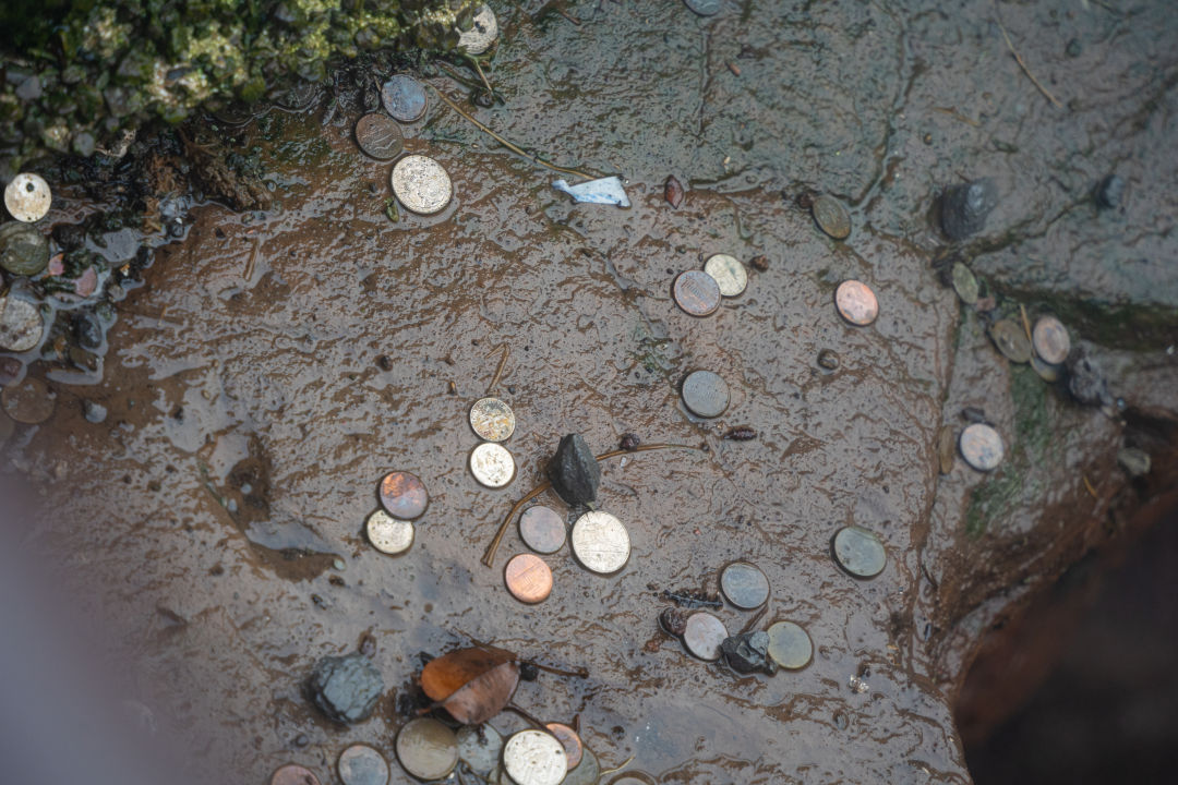 하와이 스팀벤츠 동전