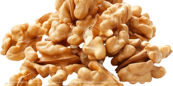 두의 항산화 성분은 전립선암 예방에 기여