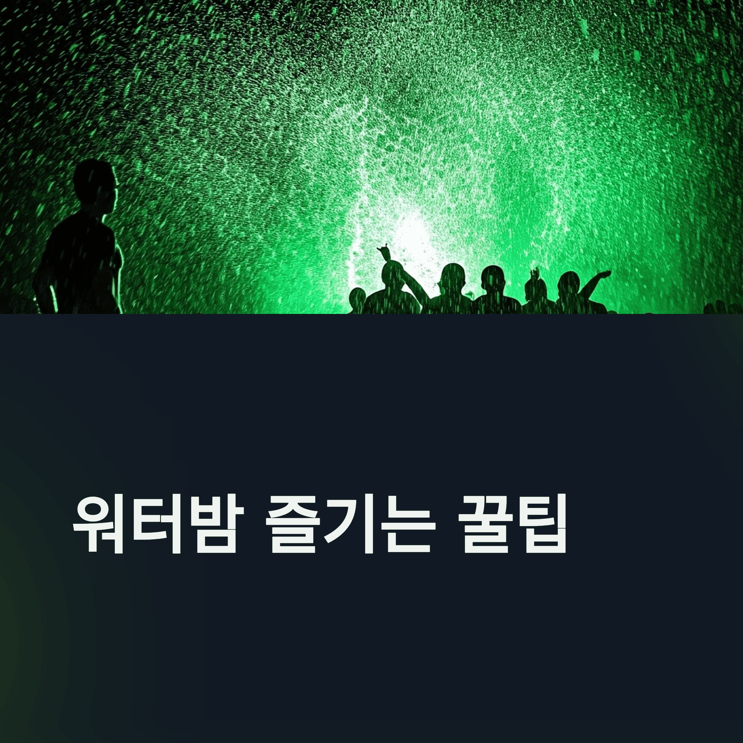 워터밤 잘 즐기는 방법 및 후기