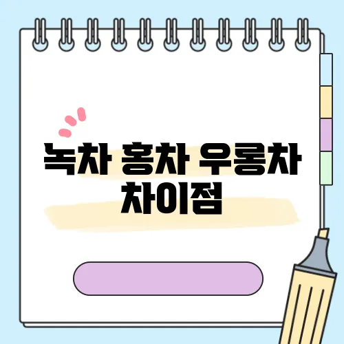 녹차 홍차 우롱차 차이점