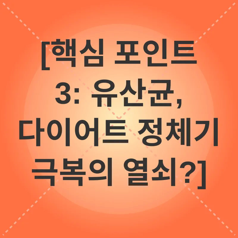 다이어트 유산균_3