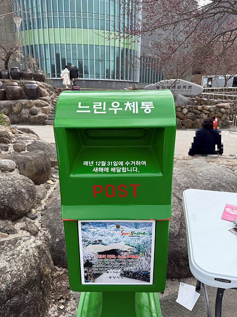 광양 매화축제 개화상황 실시간