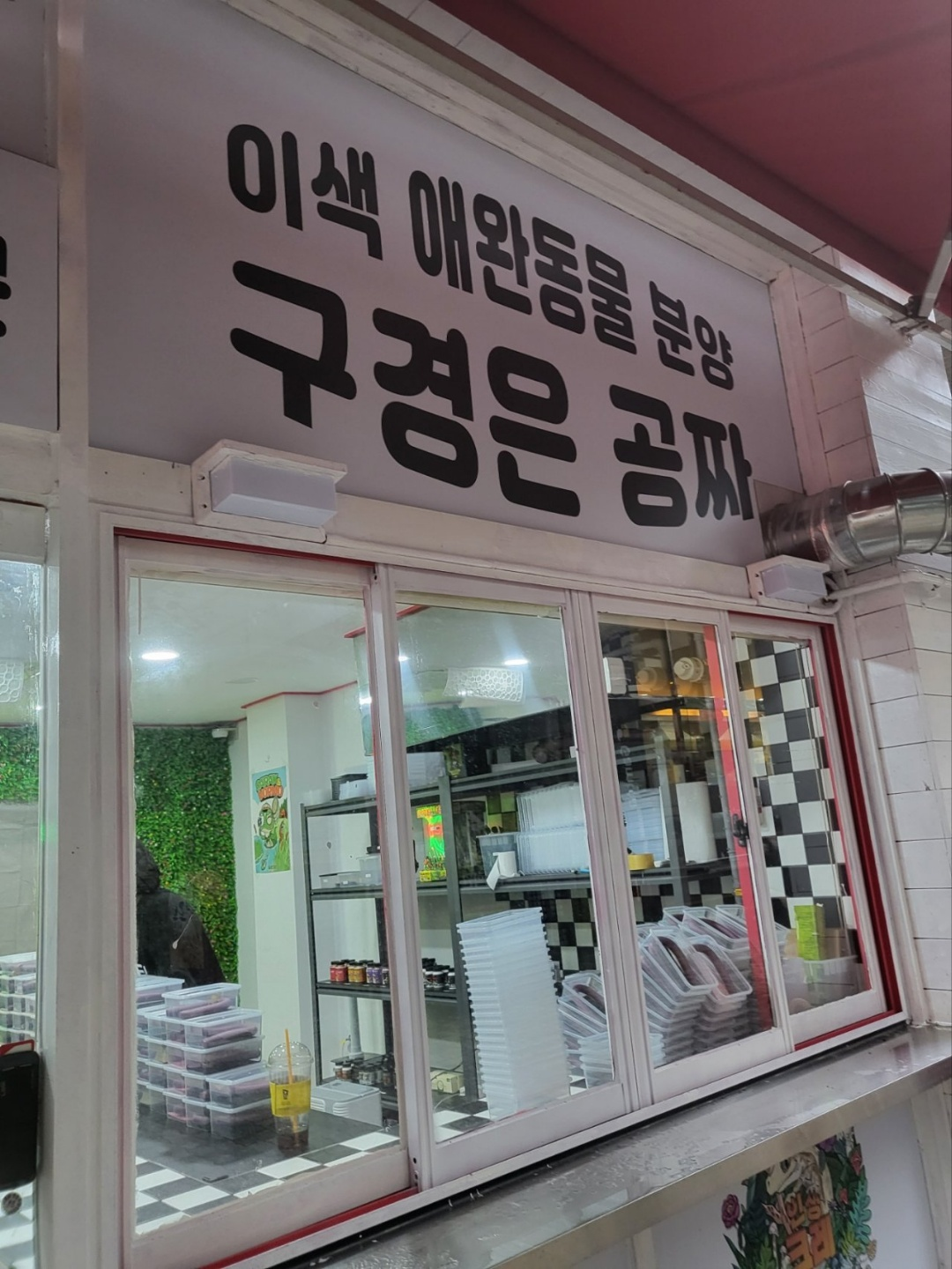 크레스티드 게코