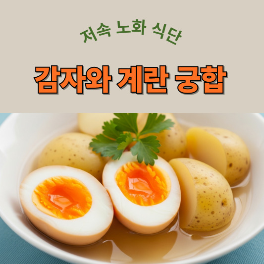 105세 철학자의 아침 식탁, 찐감자와 반숙계란의 건강 궁합 - 저속노화 건강식습관