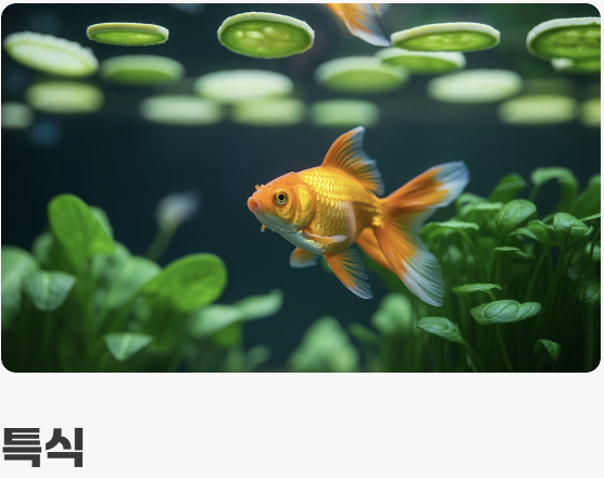 먹이 - &amp;#39;채식&amp;#39;을 즐기는 미식가