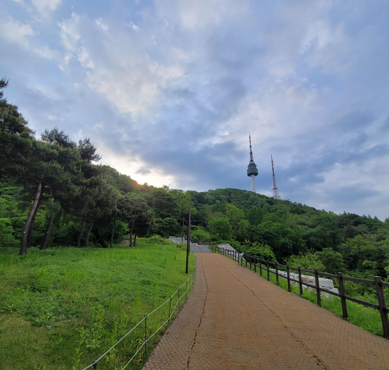 남산 등산길