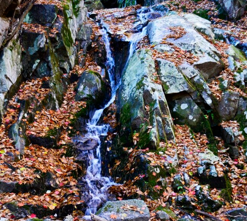 치악산 자연휴양림2